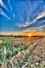 Sun setting over the Big Cypress National Preserve casts a warm glow over the prairie landscape. Art Print